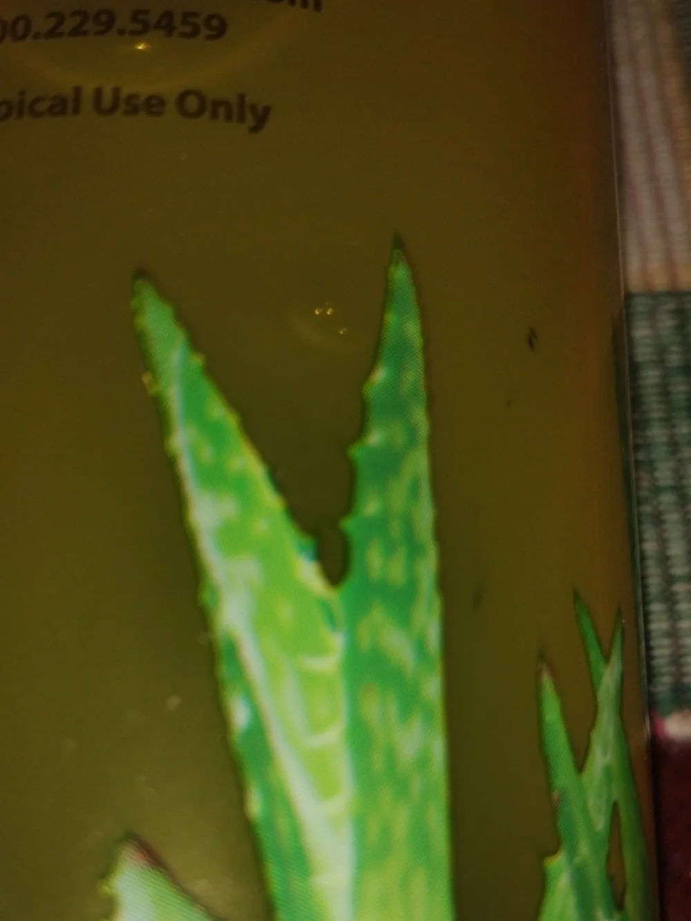 Lily Of The Desert Gel